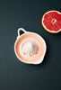 Citrus Juicer