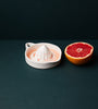 Citrus Juicer